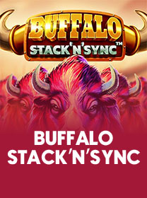 Buffalo StacknSync game cover